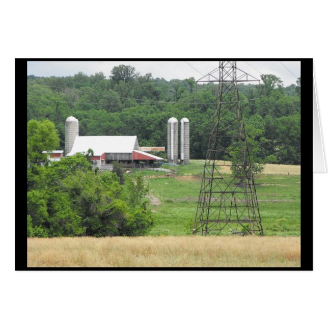 Vår 40 hälsningskort (Framsidan Horizontal)