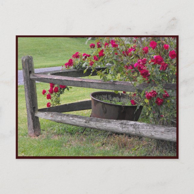 ~ Vår 41 ~ Vykort (Framsida)