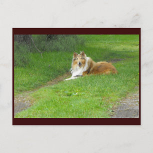 ~ Vår 46 ~ Vykort