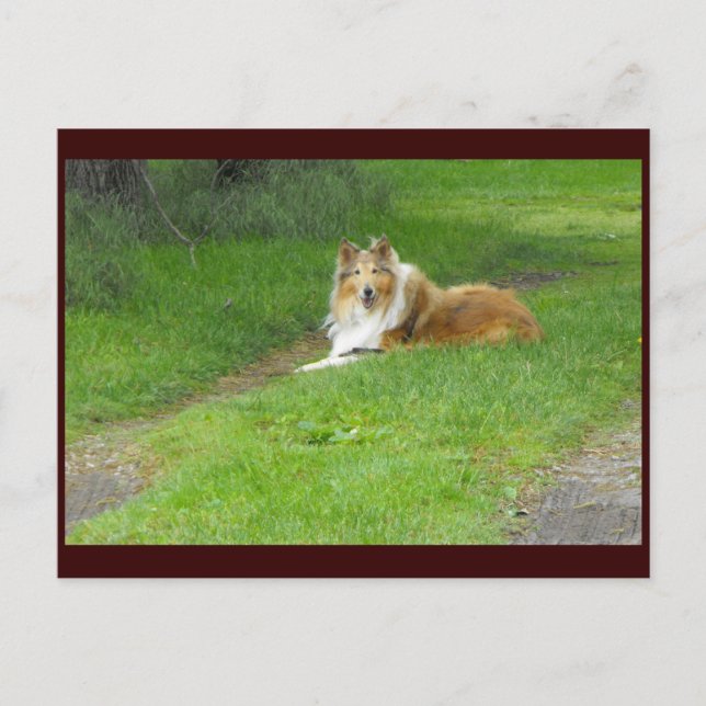 ~ Vår 46 ~ Vykort (Framsida)