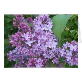 VÅR 4 HÄLSNINGSKORT