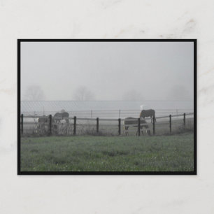 ~ Vår 79 ~ Vykort