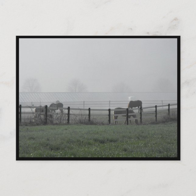 ~ Vår 79 ~ Vykort (Framsida)