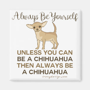 Var alltid en Chihuahua Magnet
