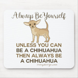 Var alltid en Chihuahua Musmatta