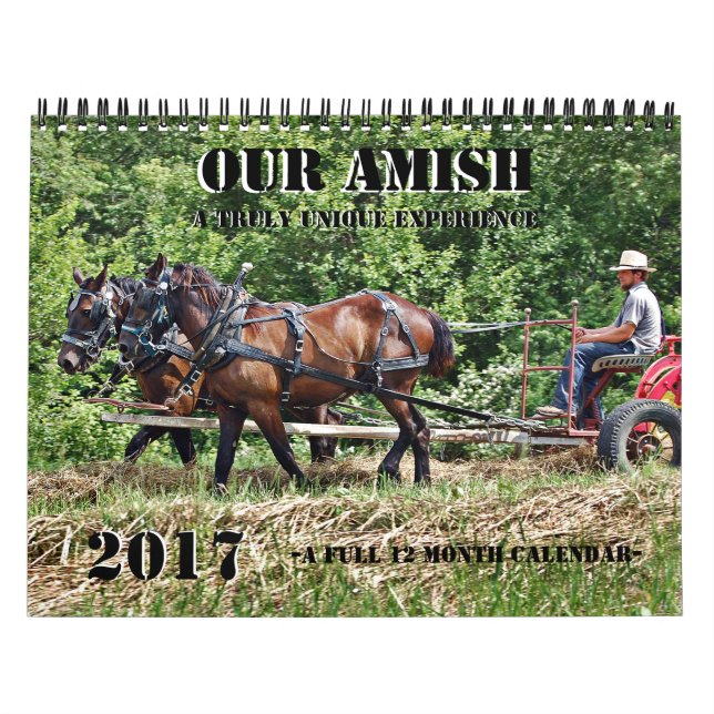 Vår Amish Kalender (Omslag)