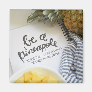 Var ananas magnet