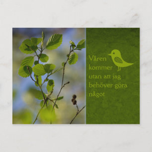 Vår ändå CC0838 Slappna av Vykort