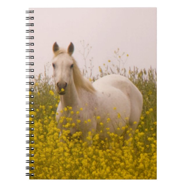 Vår Anteckningsbok Med Spiral (Framsidan)