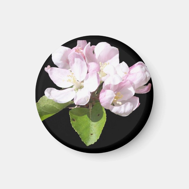 Vår Äppelblom Frysmagnet Rund Magnet (Framsidan)