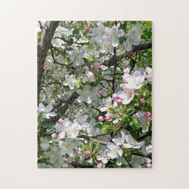 Vår ÄppelBlommar Pussel (Vertikal)