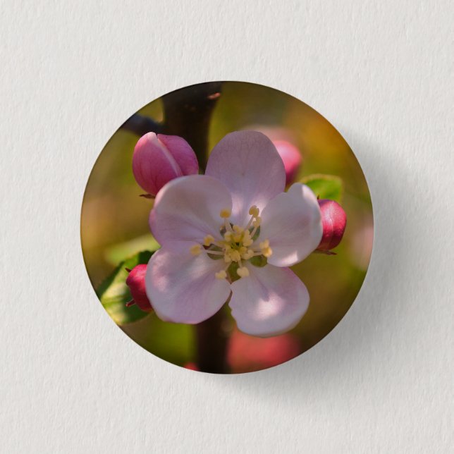 Vår Äppelblomning Knapp (Framsida)