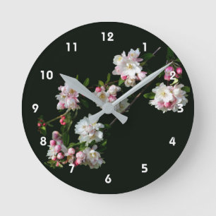 Vår äppelblomster blommande rund klocka