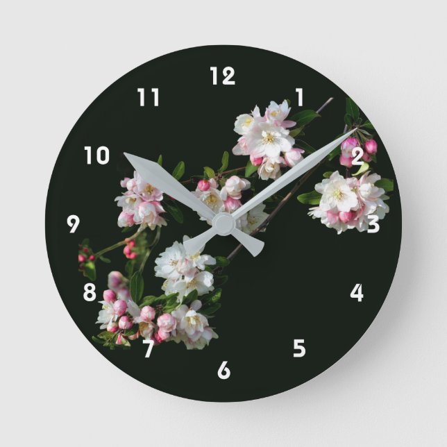 Vår äppelblomster blommande rund klocka (Framsida)