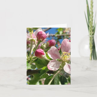 Vår Apple-Blommar Anteckningskort