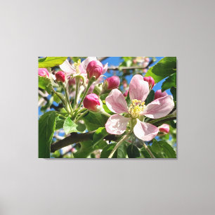 Vår Apple-Blommar Canvastryck