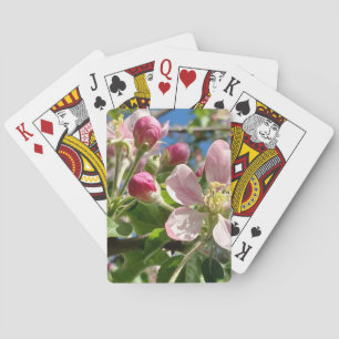 Vår Apple-Blommar Casinokort