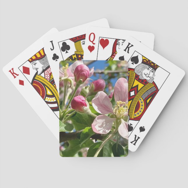 Vår Apple-Blommar Casinokort (Baksidan)