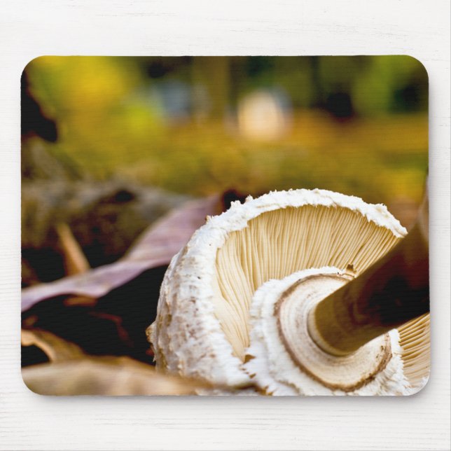 Var är Alice? Mushroom still Life Musmatta (Framsidan)