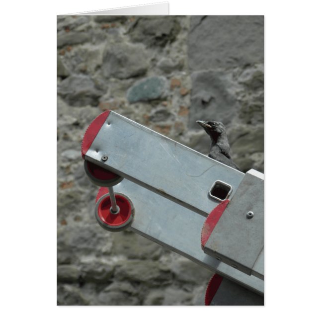 Var är branden? hälsningskort (Framsidan)