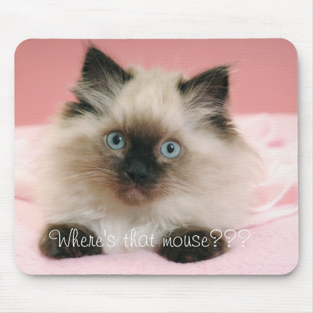 Var är den mus, vadderar musen musmatta (Framsidan)