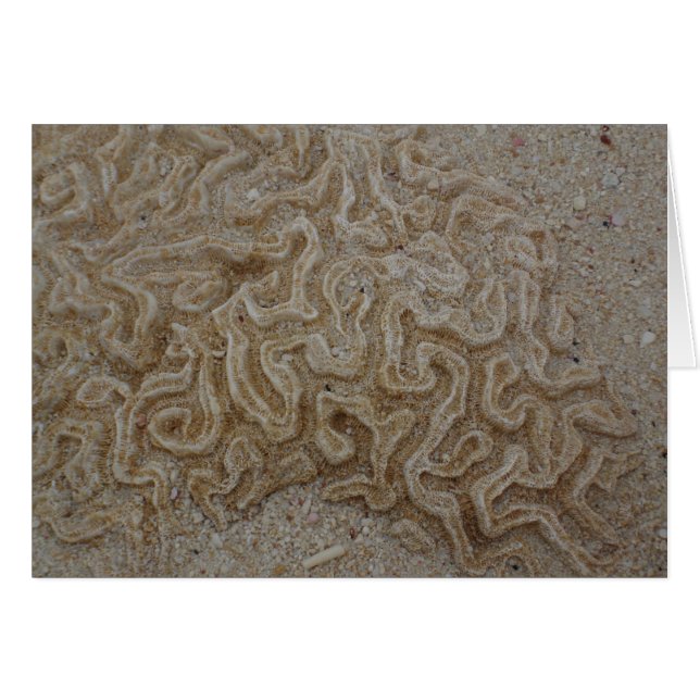 Var är din hjärna? hälsningskort (Framsidan Horizontal)