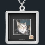 Var är du? silverpläterat halsband<br><div class="desc">Var var du igår kväll? HMmm?</div>