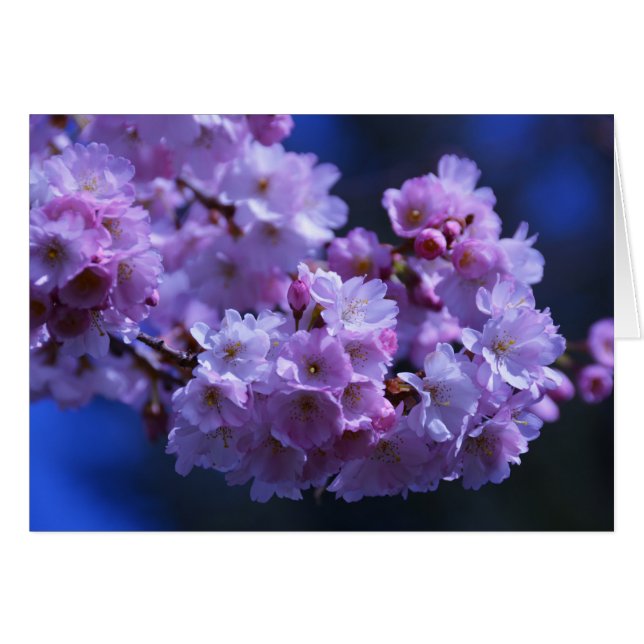 Vår är här! hälsningskort (Framsidan Horizontal)