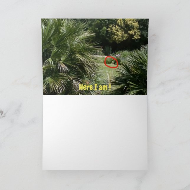 Var är jag? kort (Inuti)