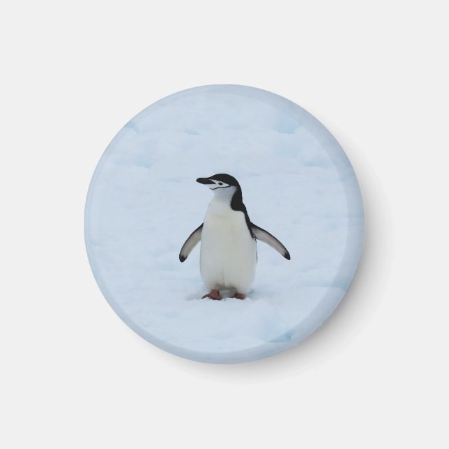 Var är jag? magnet (Framsidan)