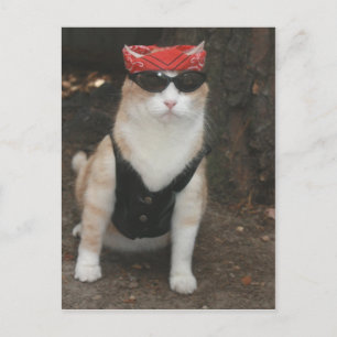 Var är min hog? vykort