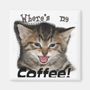 Var är min kaffekatt magnet