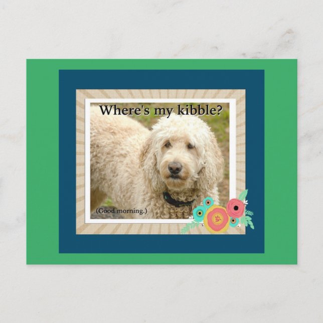 Var är min kibbel, Brans vykort? Vykort (Framsida)