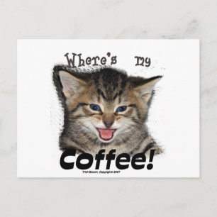 Var är mitt kaffekatt? vykort