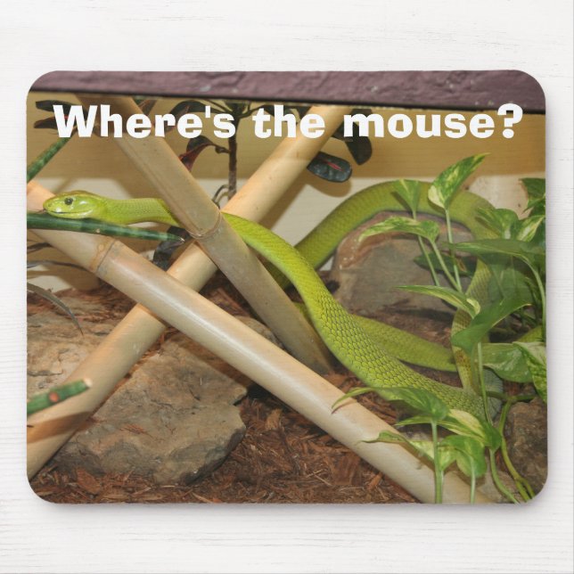 Var är musen? musmatta (Framsidan)