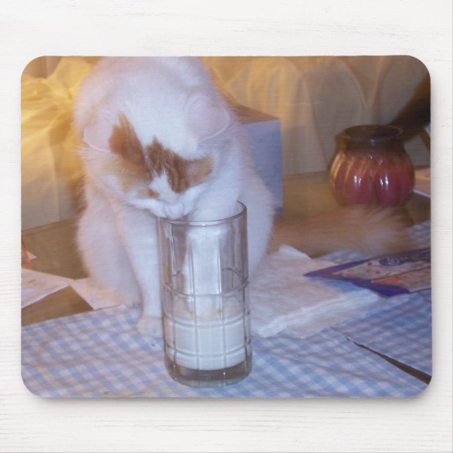 "VAR" ÄR OREOS? MUSMATTA (Framsidan)