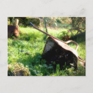 Var är Peter Rabbit? Vykort