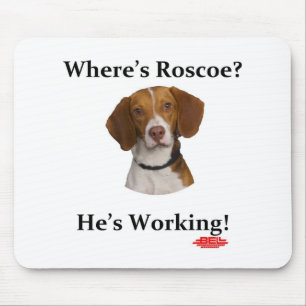 Var är Roscoe? Musmatta