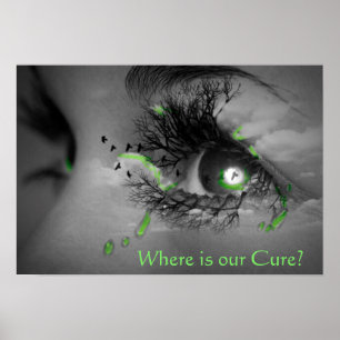 Var är vår Cure? Poster om medvetenhet om Lyme-sju