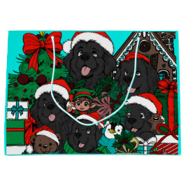 Var är "Waldo" Newfy?