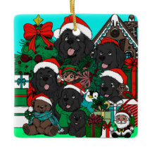 Var är "Waldo" Newfy? (rött)