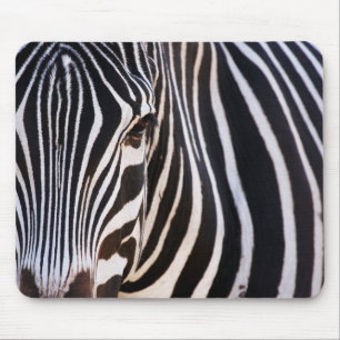 Var är Zebra? Musmatta