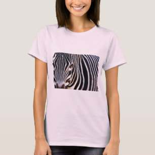 Var är Zebra? Tröja