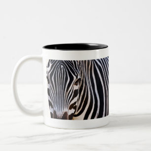 Var är Zebra? Två-Tonad Mugg