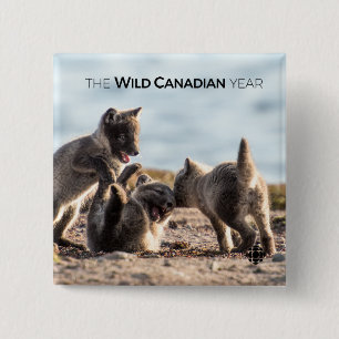 Vår - Arktiska räv Knapp