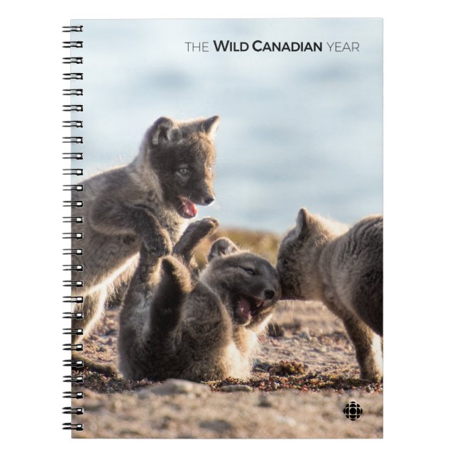 Vår - Arktiskt räv Anteckningsbok Med Spiral (Framsidan)