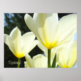 Vår art skriver ut Tulip Flowers Glowing Poster
