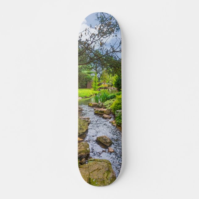 Vår Bäck Painterly Mini Skateboard Bräda 18,5 Cm (Framsida)