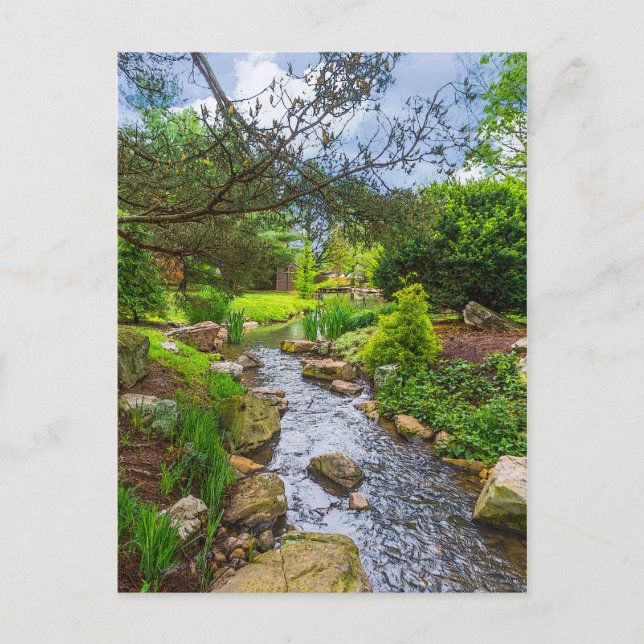 Vår Bäck Painterly Vykort (Framsida)