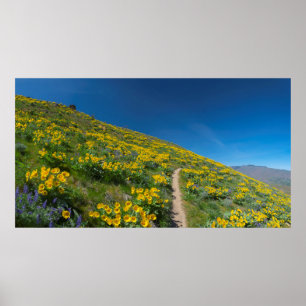Vår Balsam Superbloom Poster